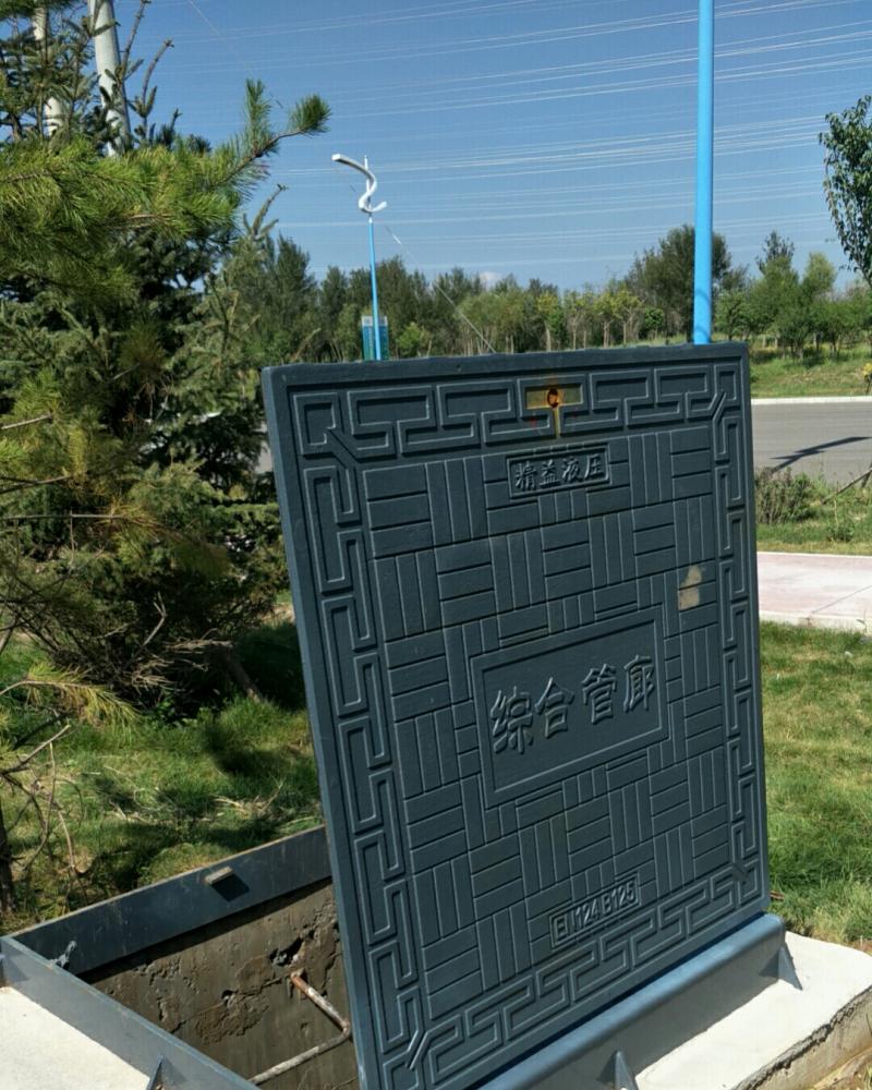 内(nèi)蒙古現場